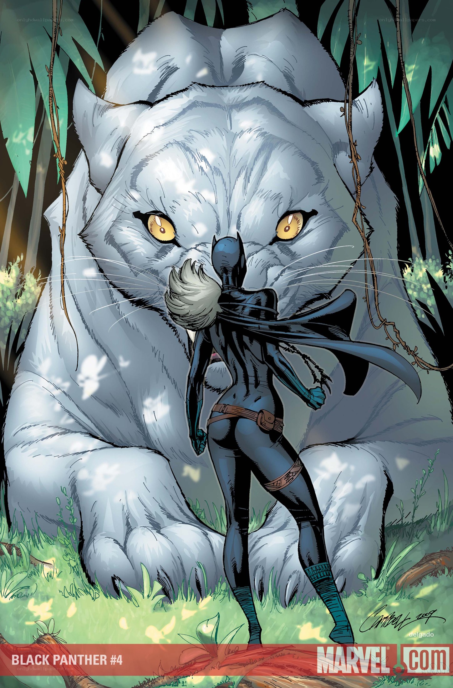 Black Panther and white panther