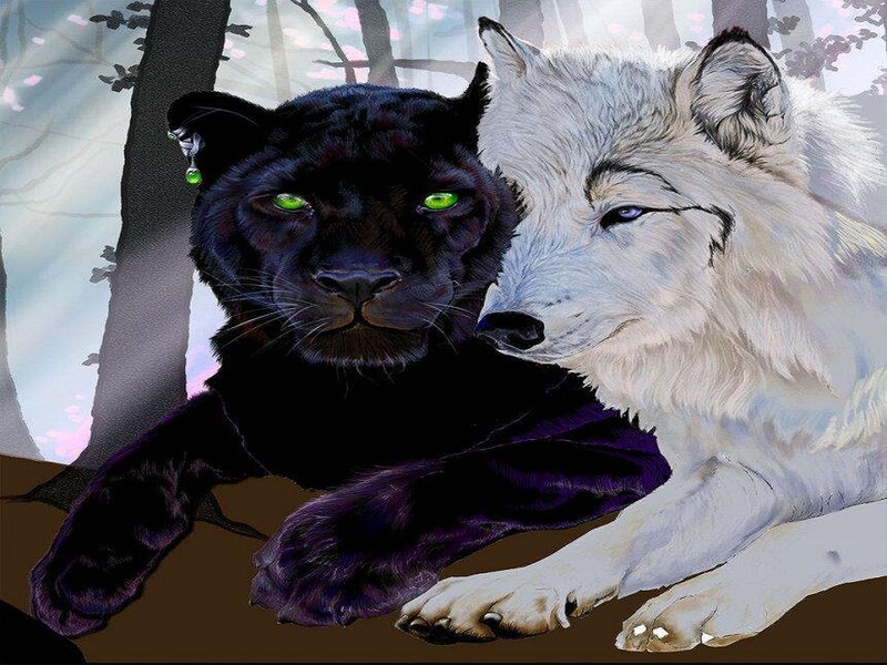 Black Panther and White Wolf