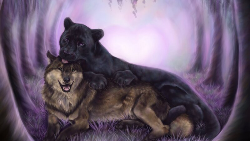 Black Panther and Wolf — Purple, Serene