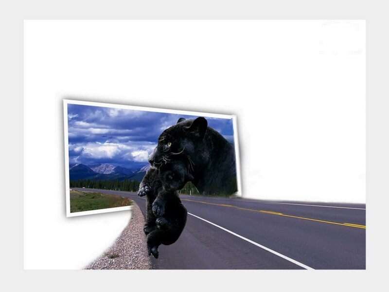 Black Panther Carrying Cub