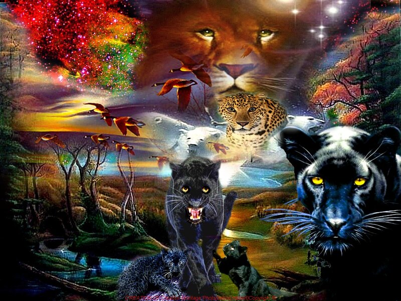 Black Panther Collage — Dramatic