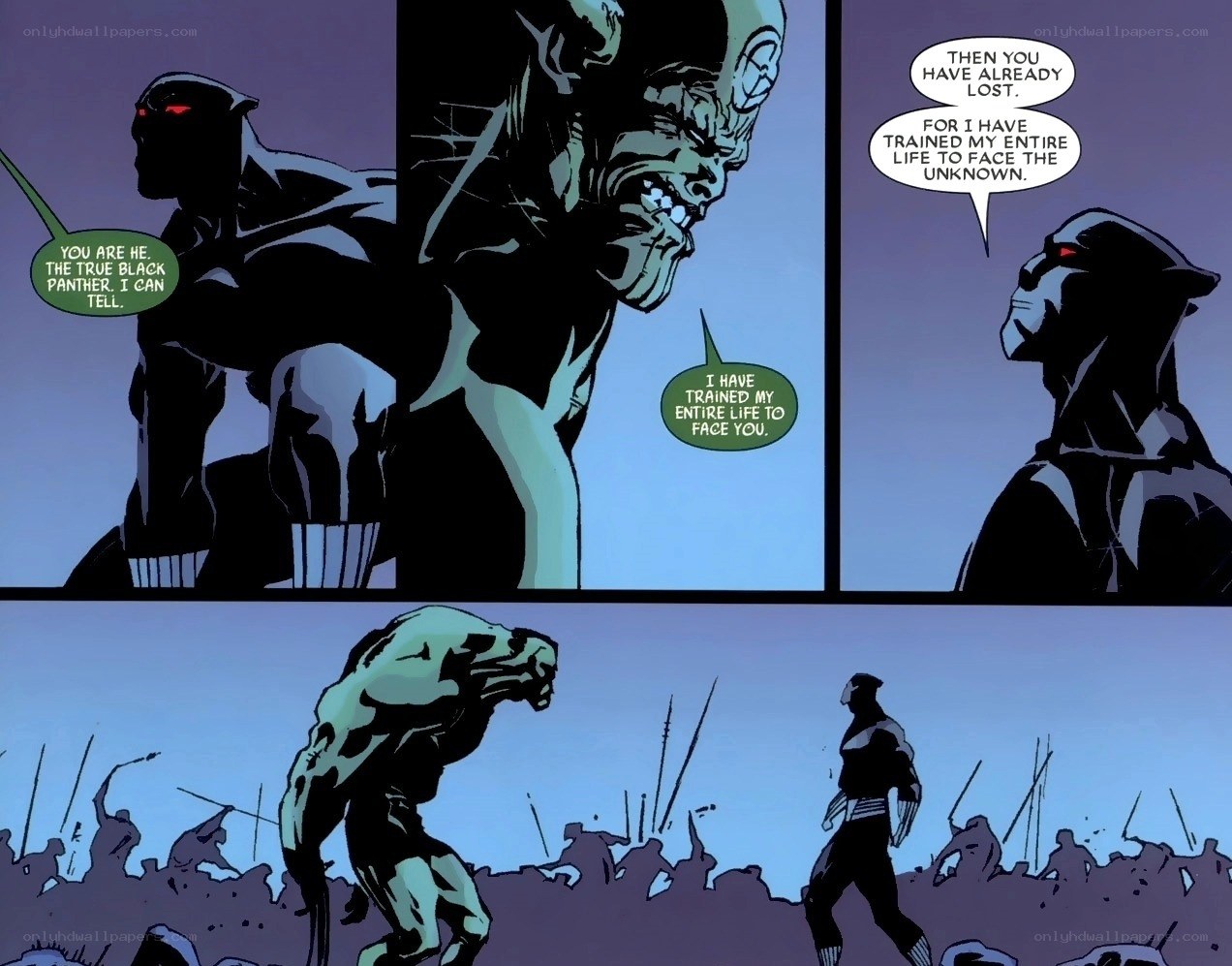Black Panther confrontation
