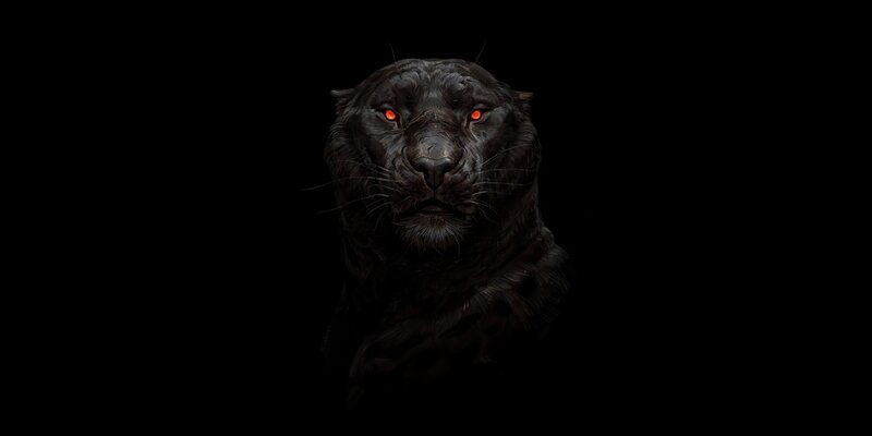 Black Panther — Dramatic, Night