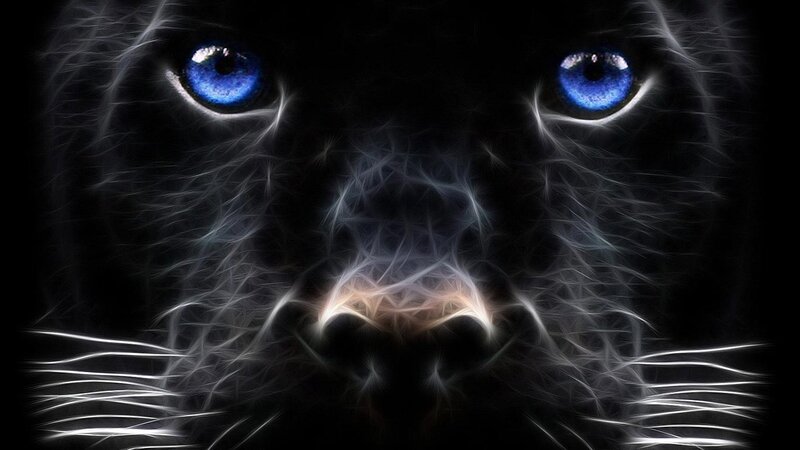 Black Panther Face — Dramatic, Digital Art, Eyes, Nose, Whiskers, Blue, White