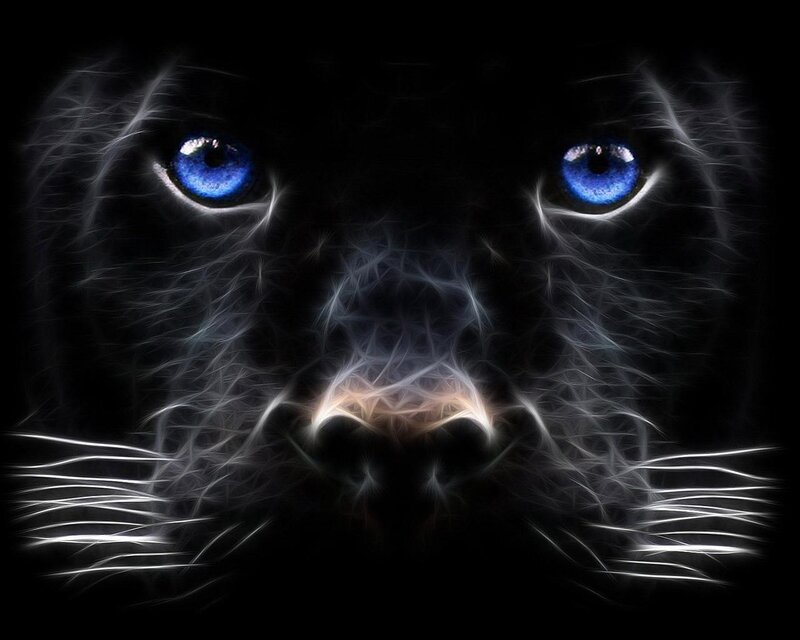 Black Panther Face — Dramatic, Digital Art, Eyes, Whiskers, Blue