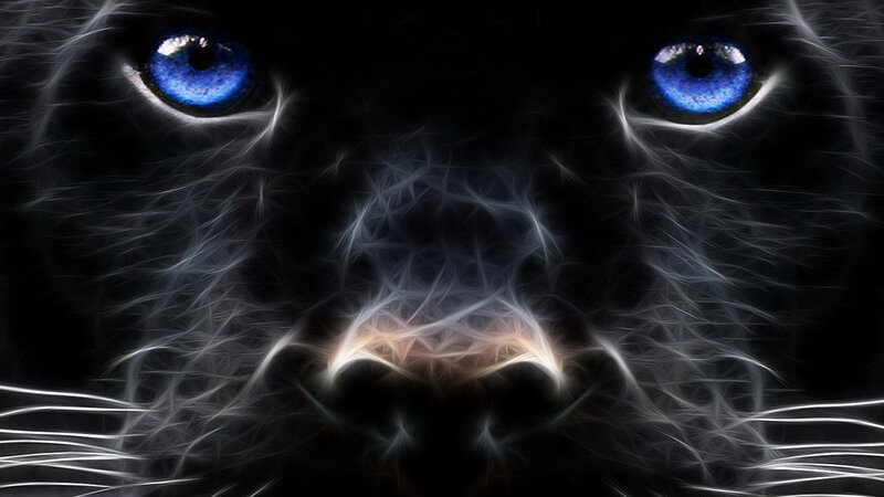 Black Panther Face — Dramatic, Digital Art