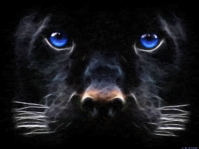 Black Panther Face — Dramatic, Night, Digital Art, Eyes, Nose