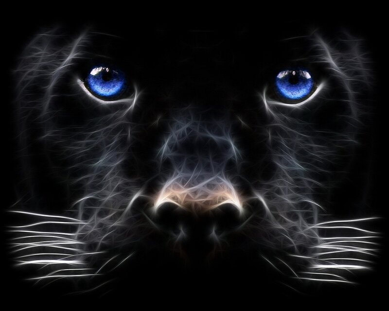 Black Panther Face — Dramatic, Night, Digital Art, Eyes