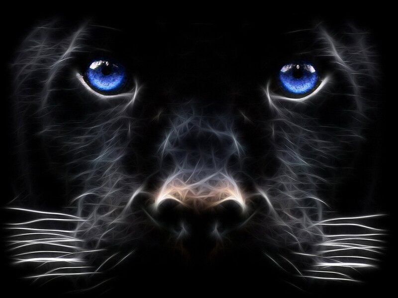 Black Panther Face — Dramatic, Night, Digital Art
