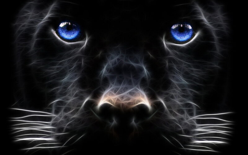 Black Panther Face — Dramatic