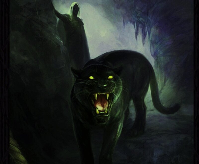 Black Panther in Cave