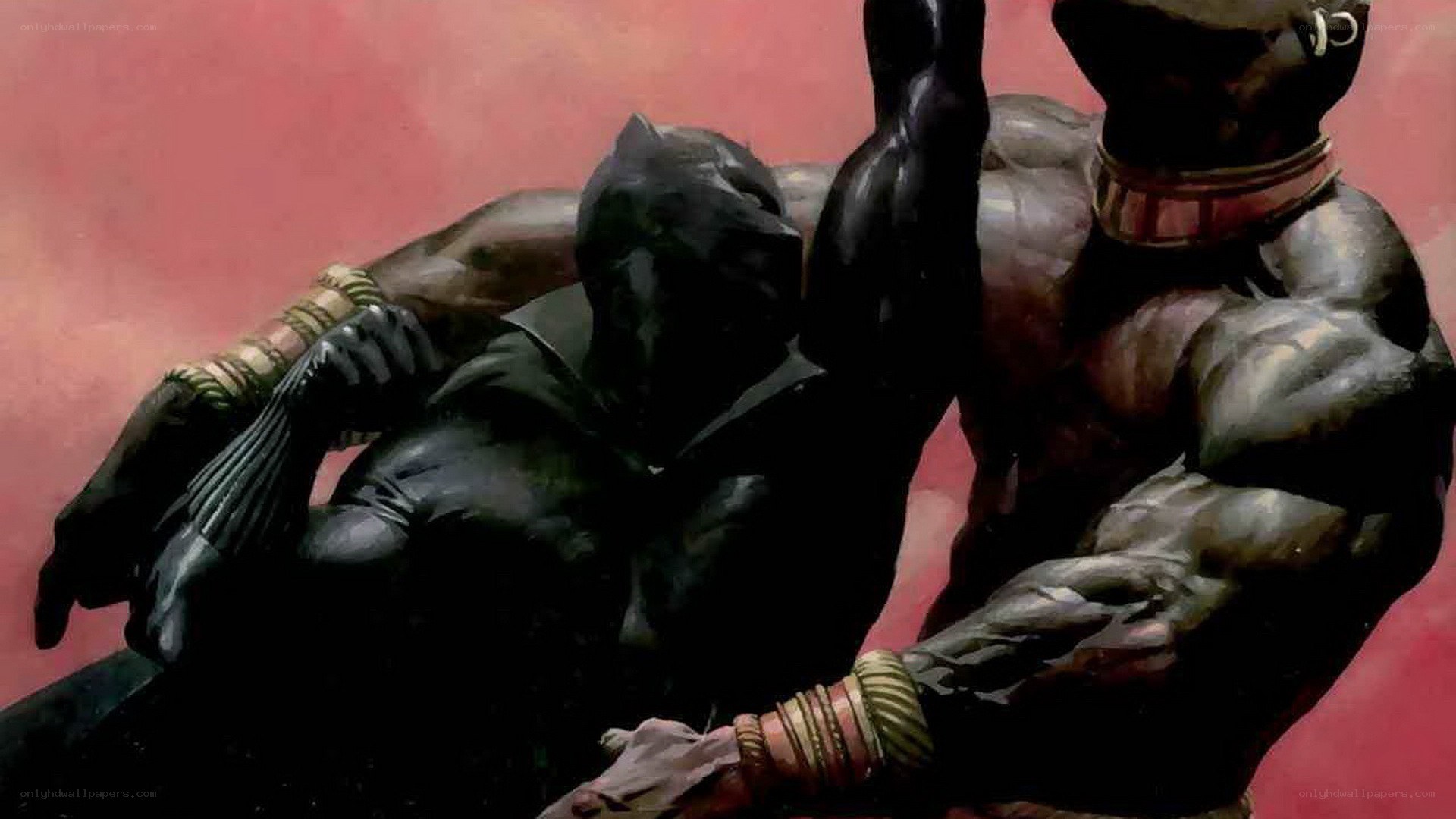 Black Panther in combat