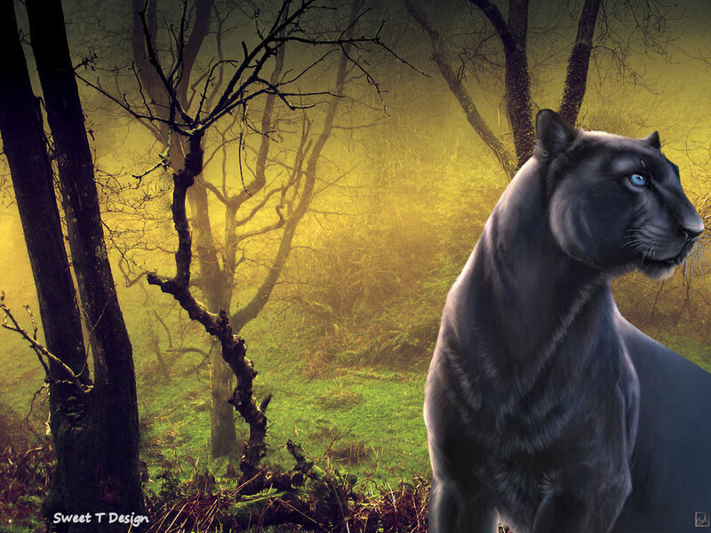 Black Panther in Forest — Yellow