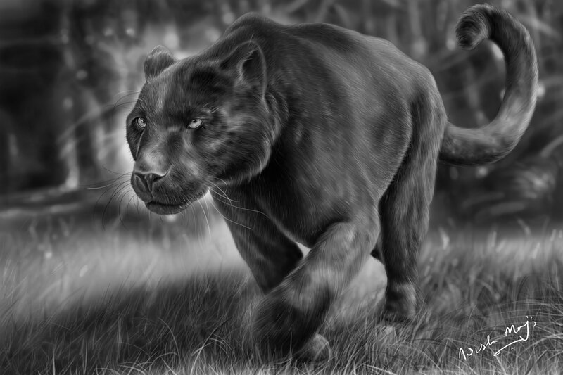 Black Panther in Grass — Dramatic, Digital Art