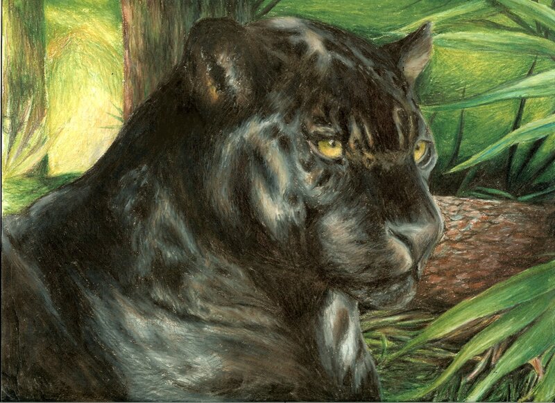 Black Panther in Jungle — Green, Alert