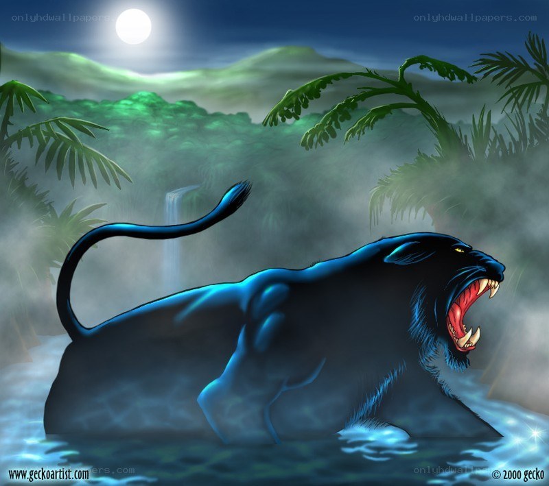 Black panther in jungle river