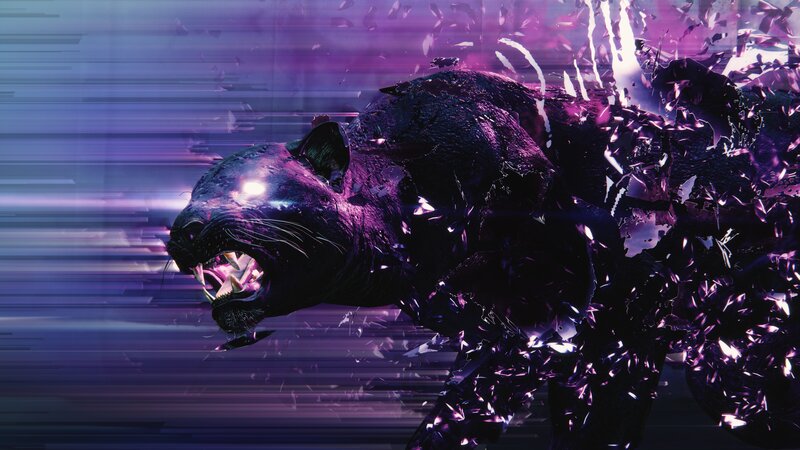 Black Panther in Motion