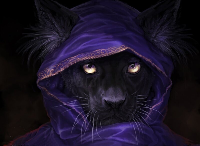 Black Panther in Purple Hood — Dramatic