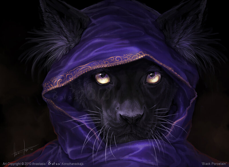 Black panther in purple hood