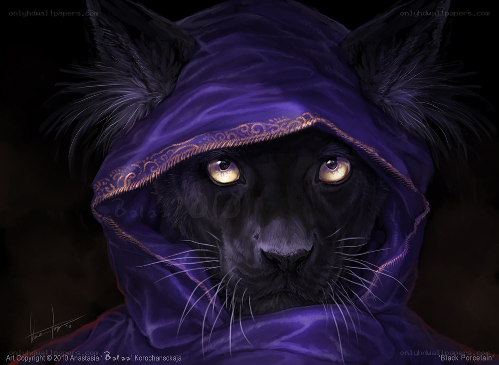 Black panther in purple hood