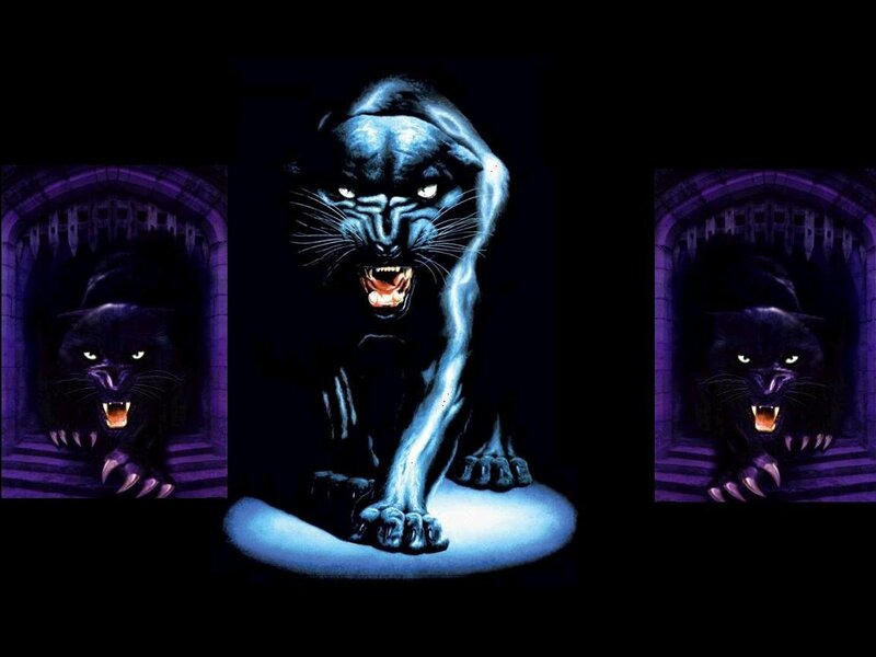 Black Panther in Tunnel