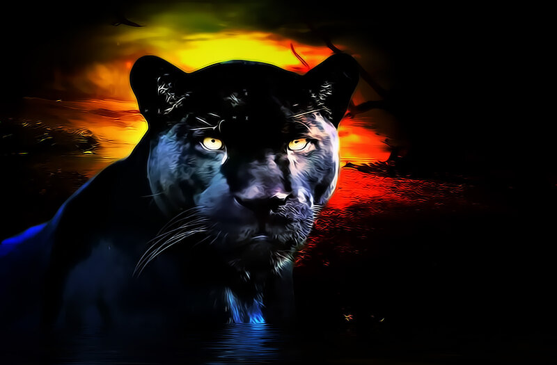 Black Panther in Water