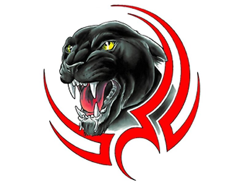 black panther logo