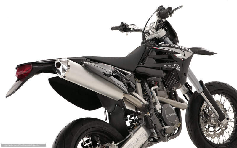 black panther motorcycle side view