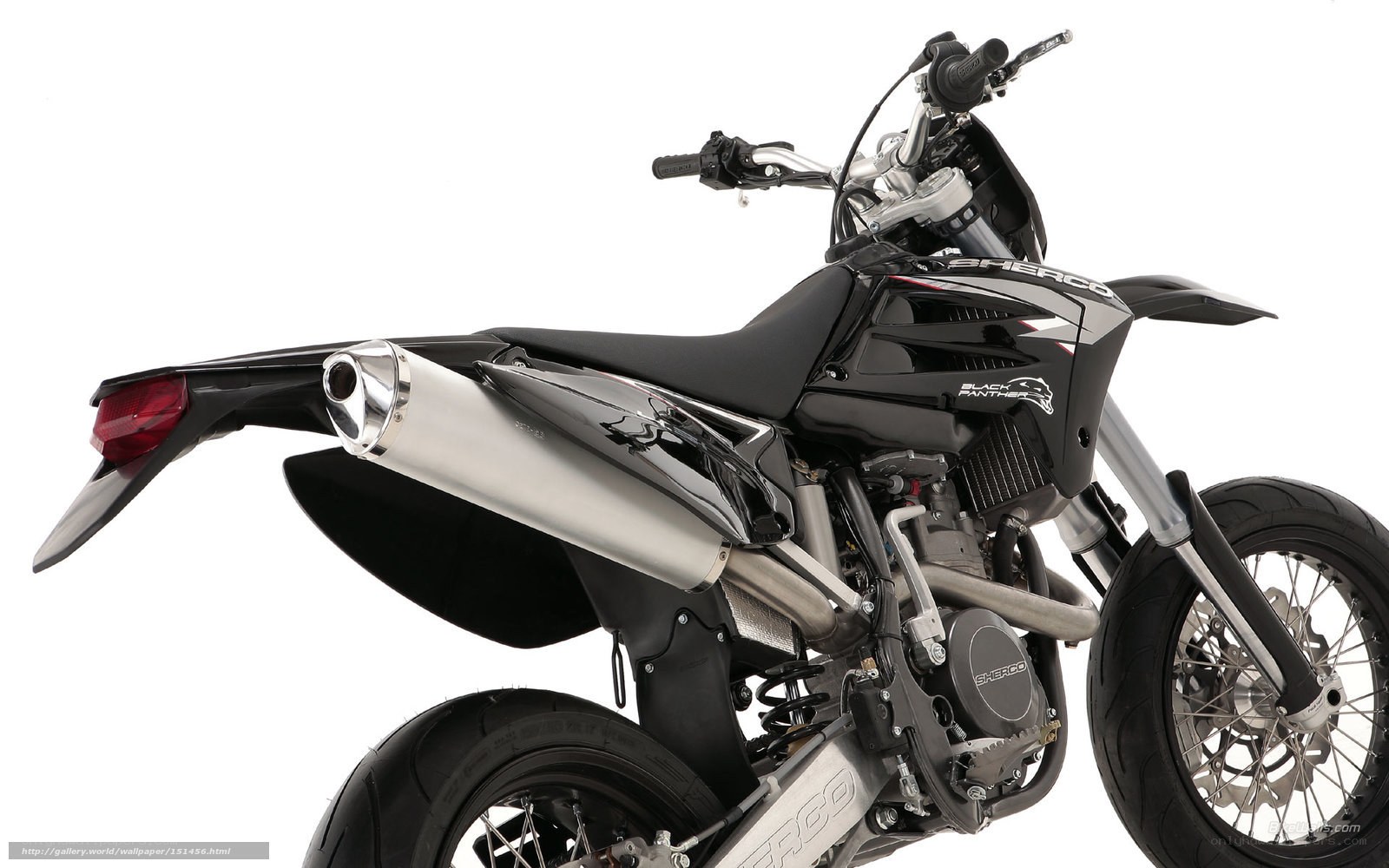 black panther motorcycle side view