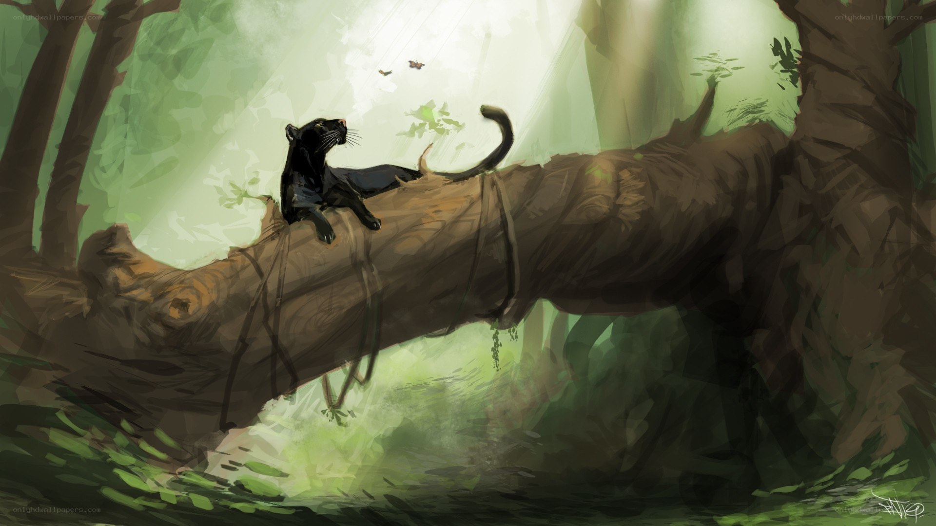 Black panther on a fallen tree