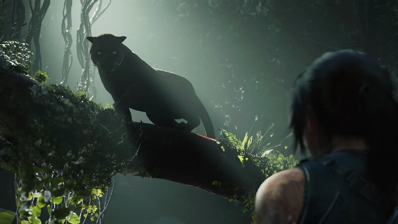 Black Panther on Branch — Green, Dramatic
