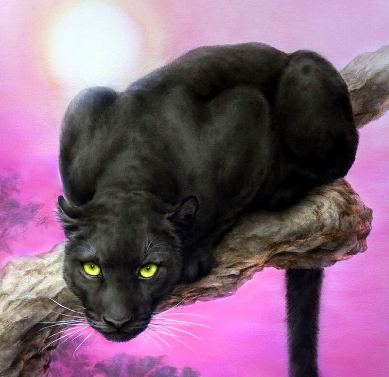 Black Panther on Branch — Pink