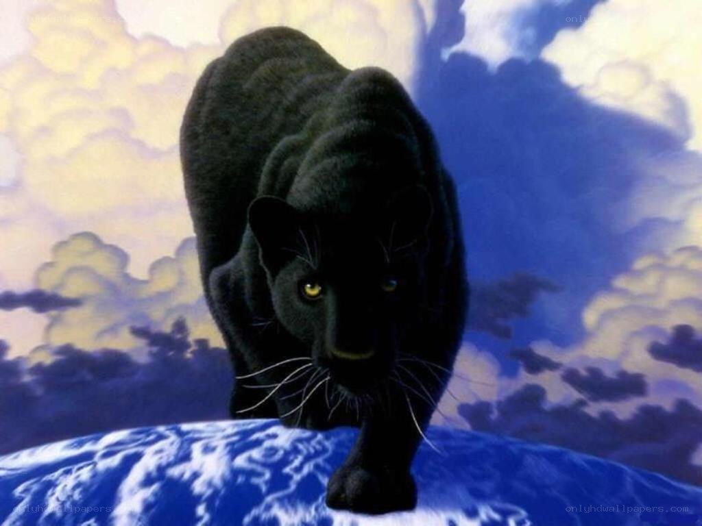 Black panther on Earth