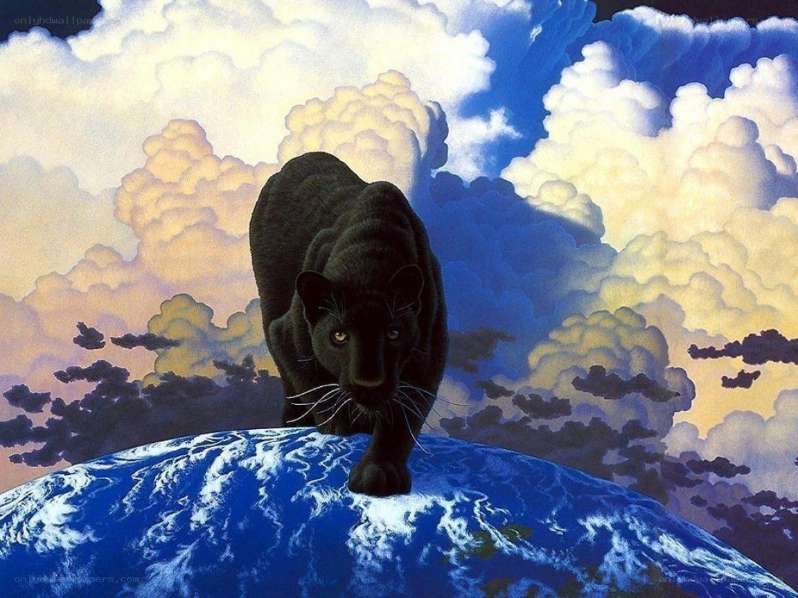 Black panther on Earth