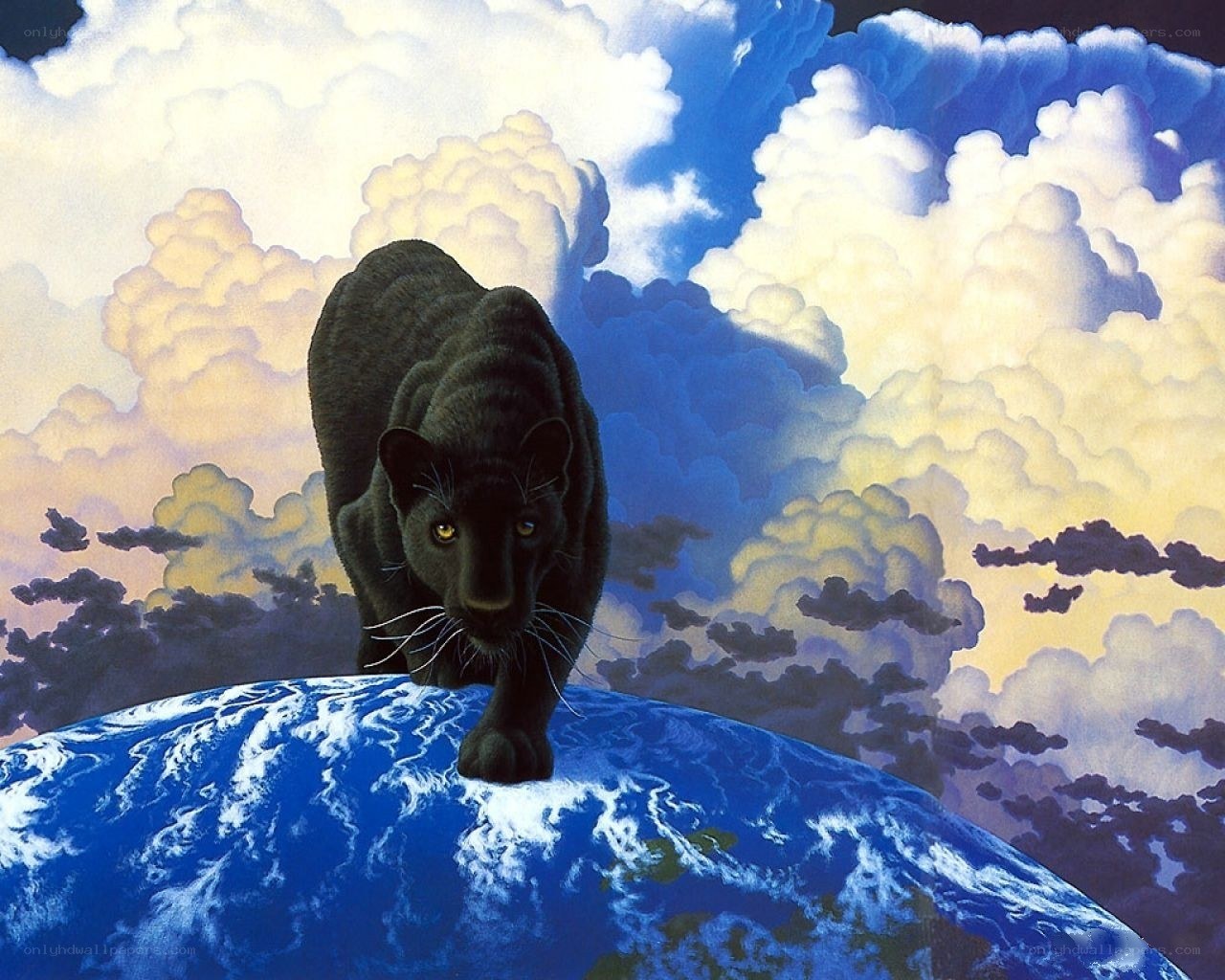 Black panther on Earth