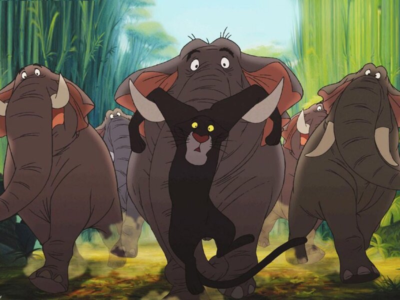 Black Panther on Elephant