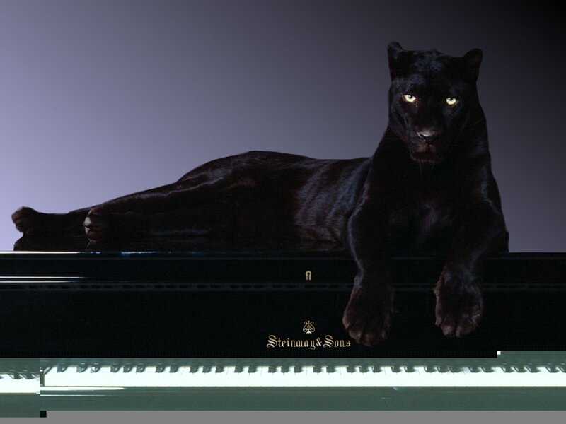 Black Panther on Piano — Dramatic