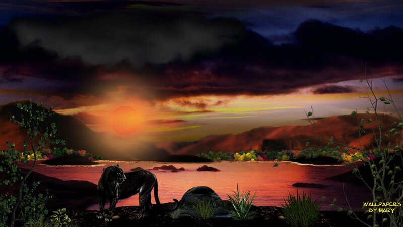 Black Panther on Riverbank