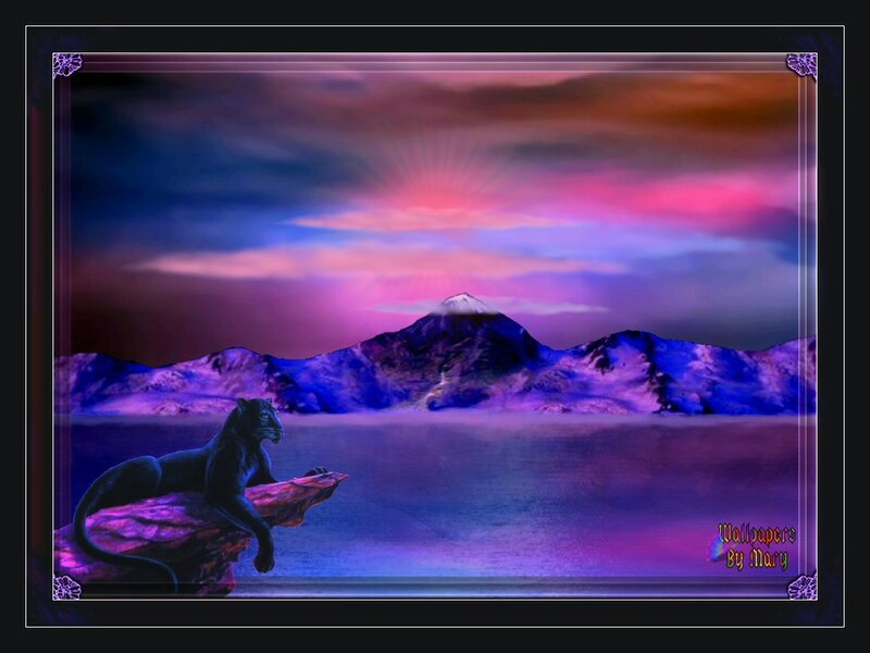 Black Panther on Rock — Purple