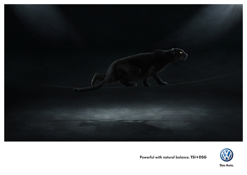 Black Panther on Tightrope
