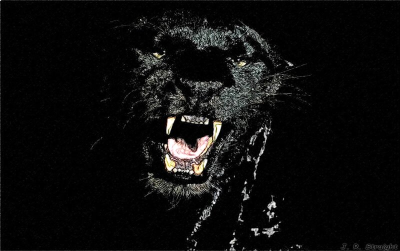 Black Panther Roaring — Aggressive, Night, Digital Art