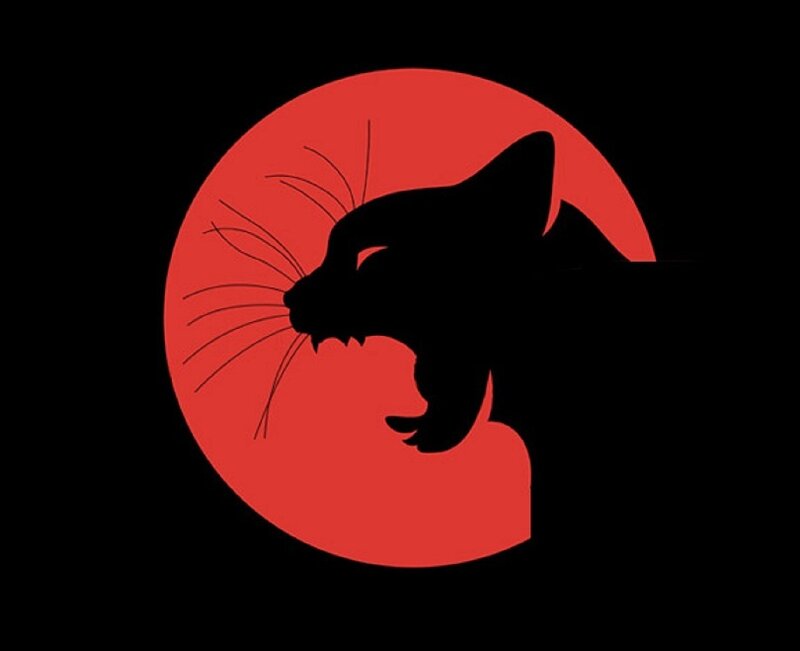 Black Panther Silhouette