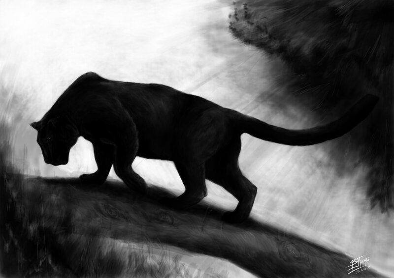 Black Panther Walking