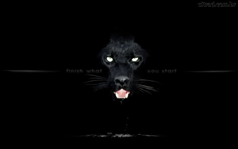 black panther with glowing eyes