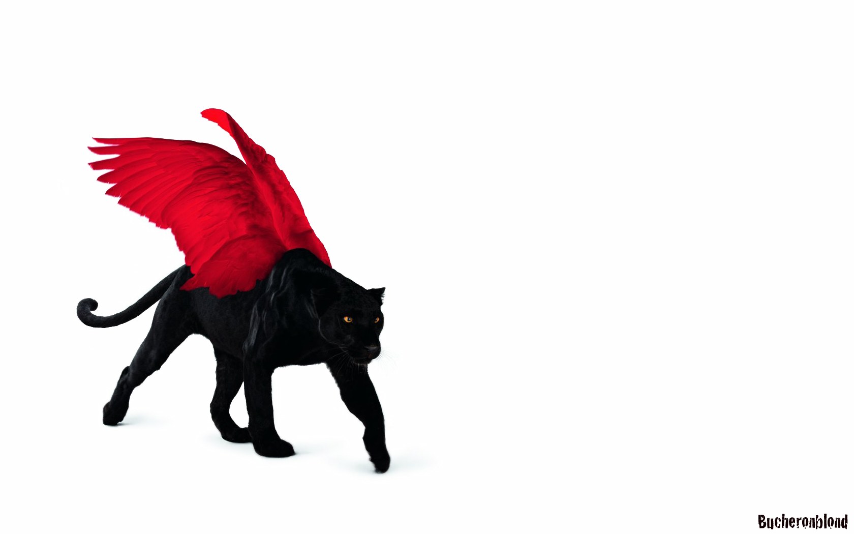 black panther with red wings