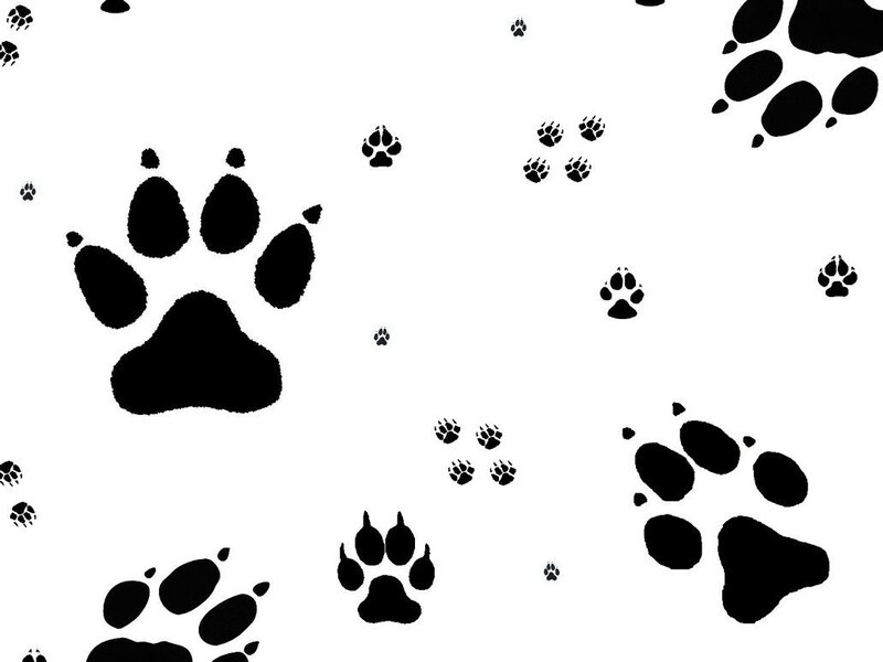 Black Paw Prints