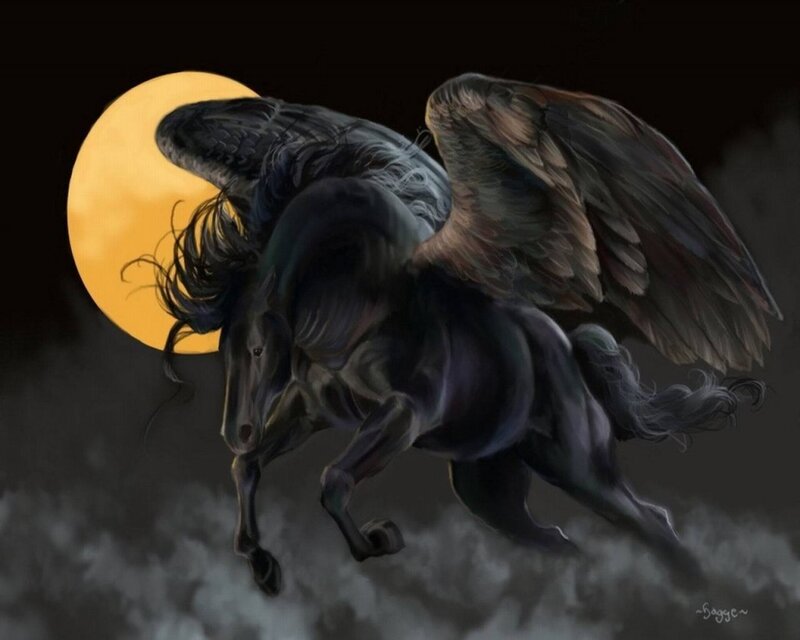 black pegasus flying at night