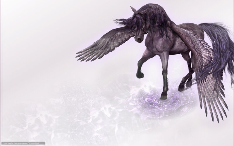 Black Pegasus Horse