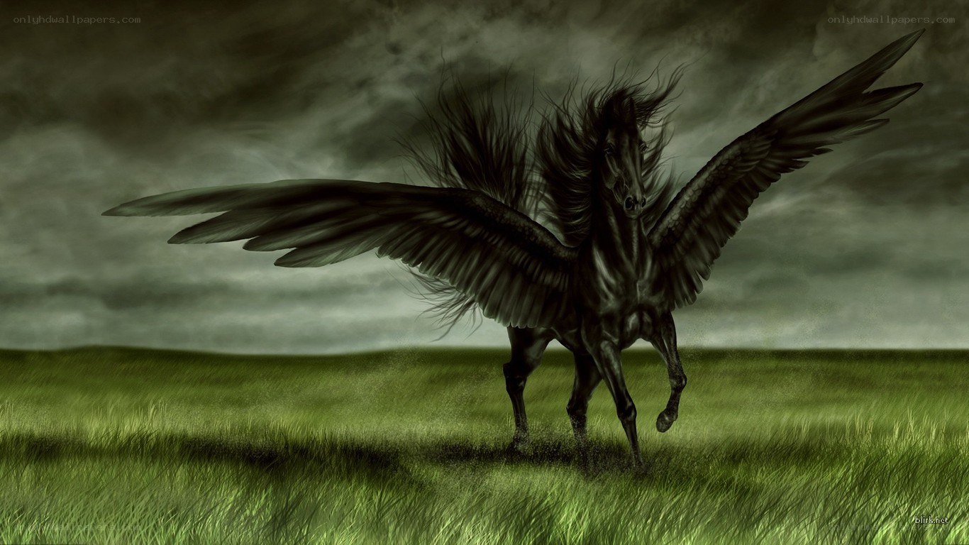 black pegasus in a field