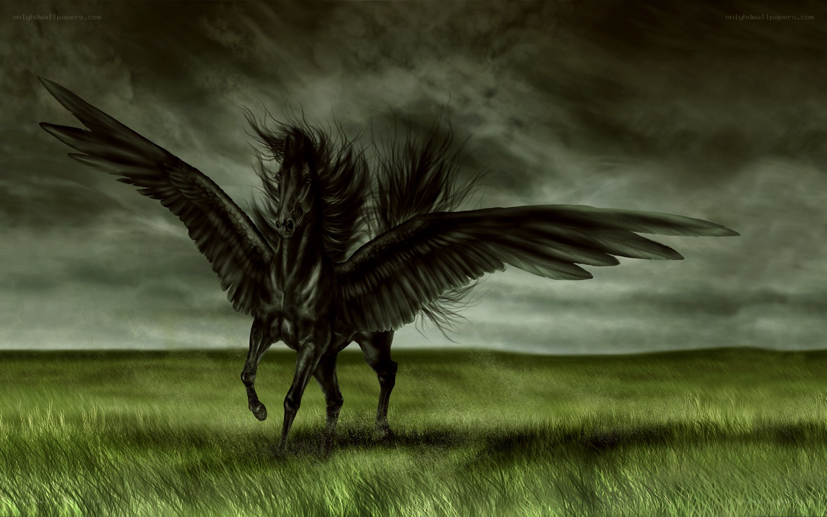 Black Pegasus in a Storm